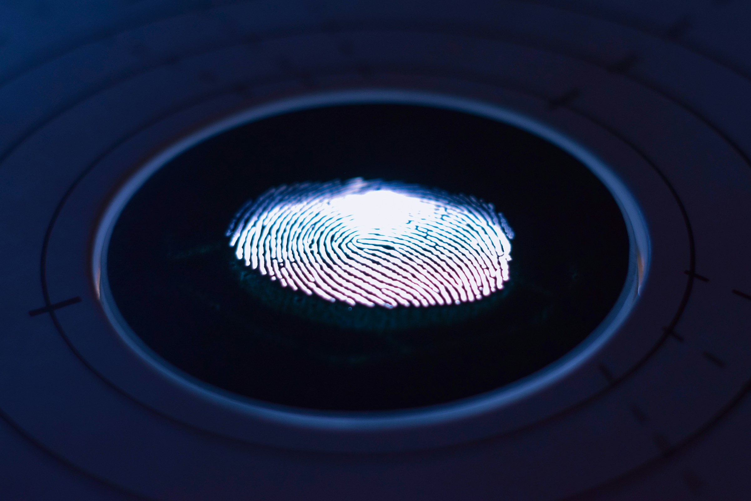Illuminated fingerprint